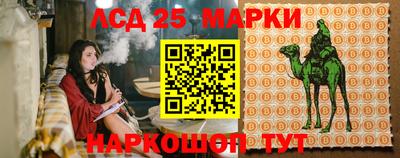 марки nbome Сланцы